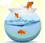 Đề thi violympic toán tiếng anh lớp 3 vòng 4