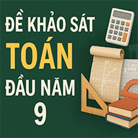 Đề thi khảo sát chất lượng đầu năm môn Toán lớp 9 2024-2025 (có đáp án)