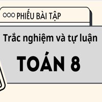 Phiếu bài tập Toán 8: Ôn tập học kì 1 đề số 1